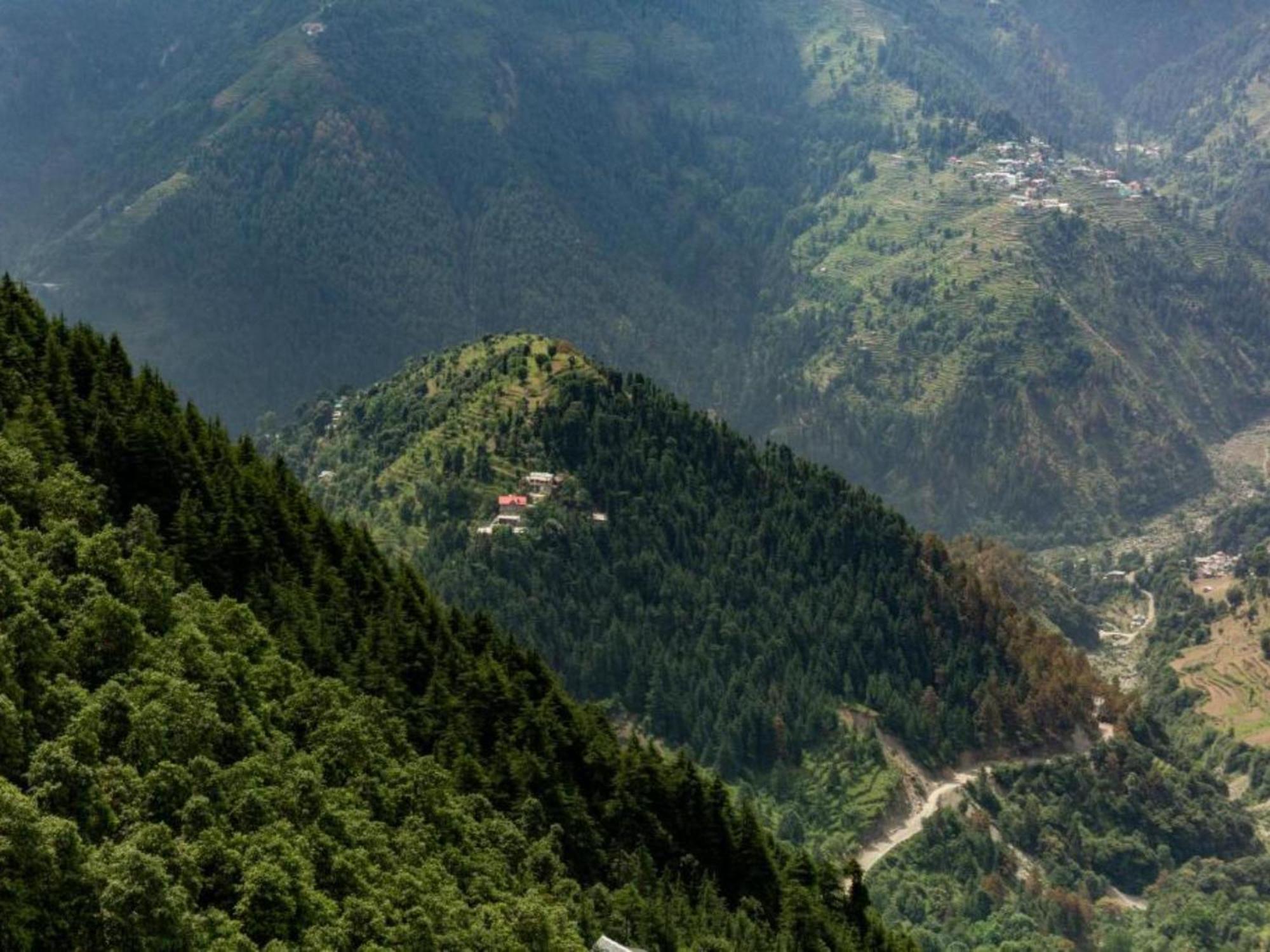 The Hosteller Khajjiar Luaran gambar